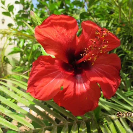 Confortable Paraiso Del Mar * Palm-mar